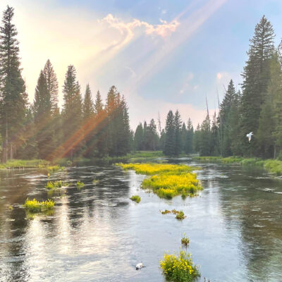 A Hundred Ways a Heart Can Break – Parent Edition