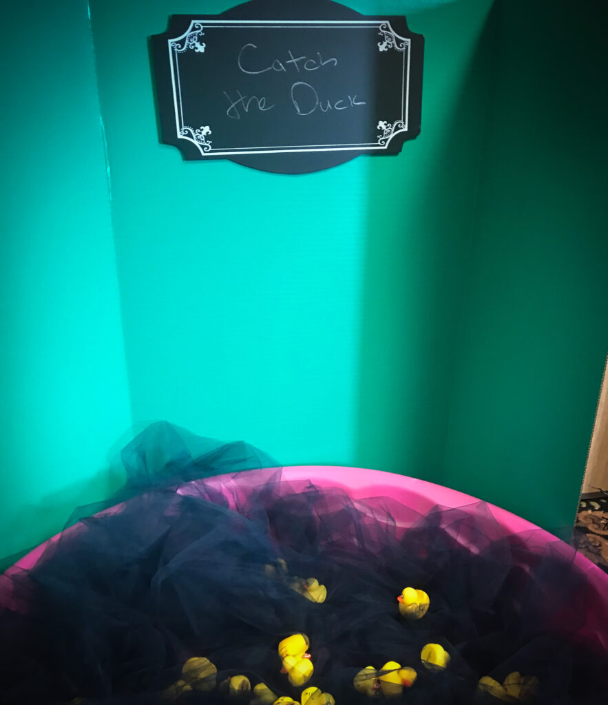 Catch the ducks game.