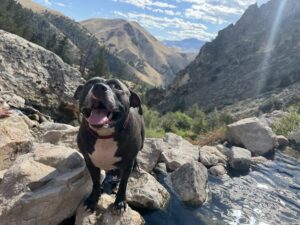 Indie showing her smile at the top of the hike
