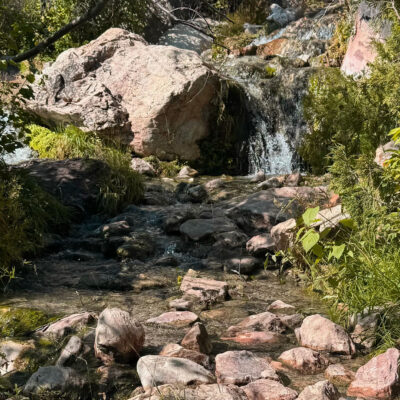 The Family Guide To Hike Goldbug Hot Springs