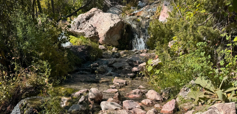 The Family Guide To Hike Goldbug Hot Springs