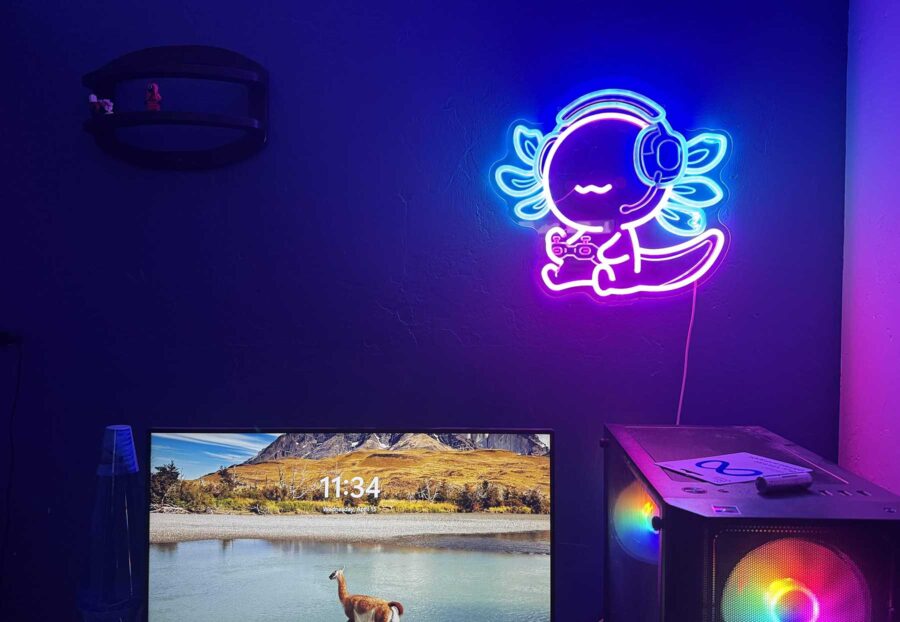 Adorable Items for Your Little Axolotl Lover